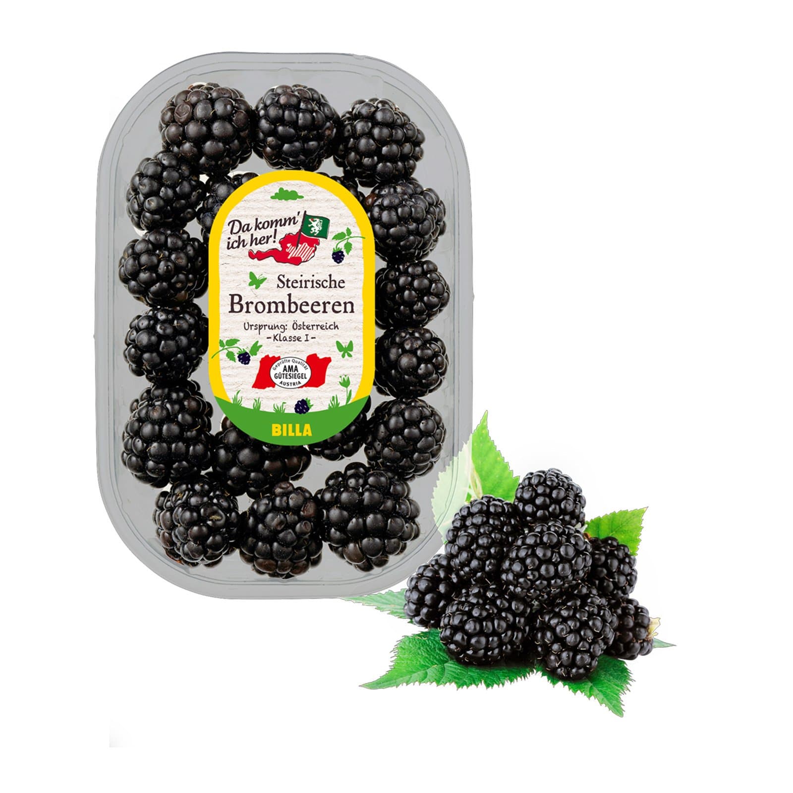 Da komm ich her! Brombeeren