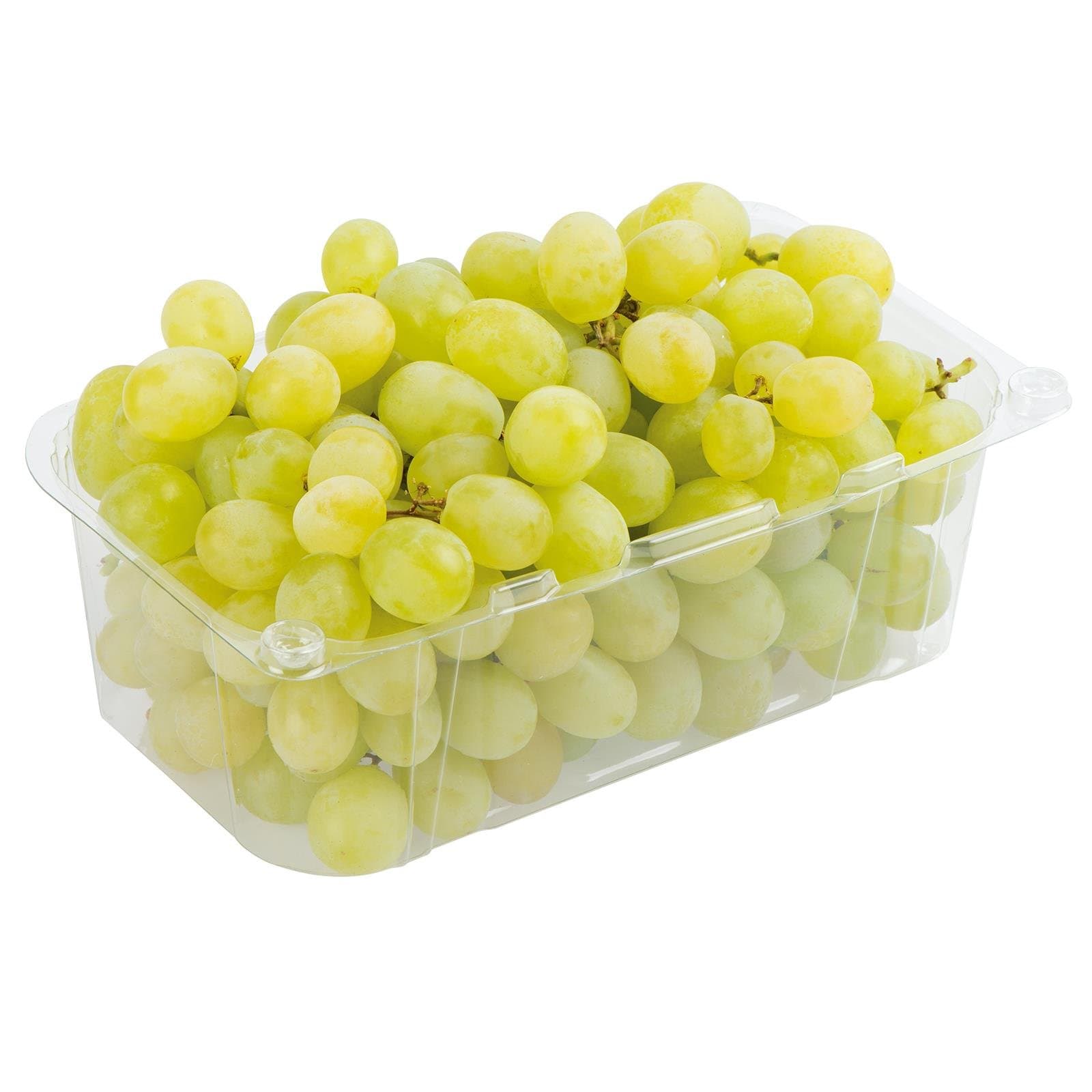 Trauben Weiss Kernlos